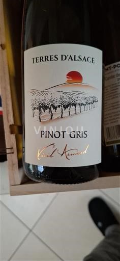 Alsace Terres Alsace Pinot gris 2023