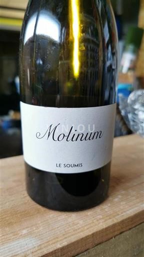 Thung lũng sông Loire Mareuil FIEFS VENDEENS BRISSON 2023