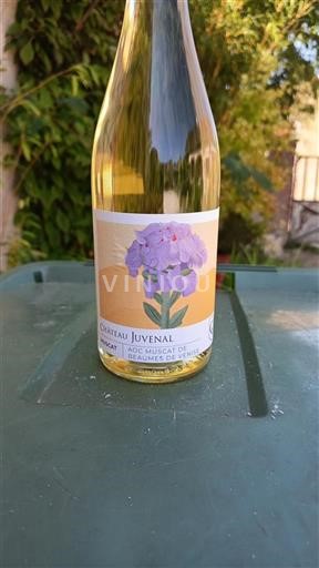 Rhônedalen Muscat de Beaumes de Venise Château Juvenal 2024