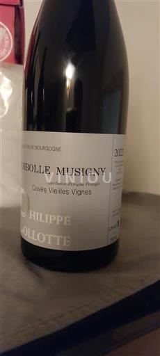 Borgoña Chambolle-Musigny Philippe Collotte Vieilles Vignes 2022