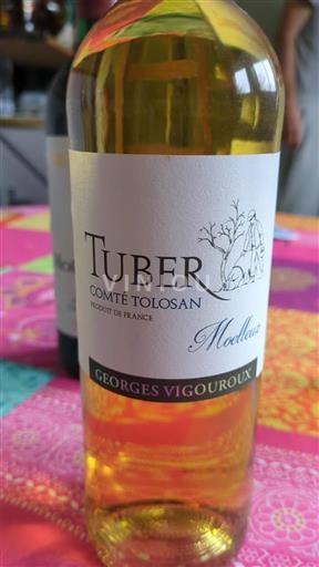 Tây Nam Comté tolosan Georges Vigouroux Tuber Không niên vụ