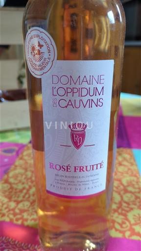 Provence Domaine L'Oppidum des Cauvins Rosé Fruité Non Millésimé