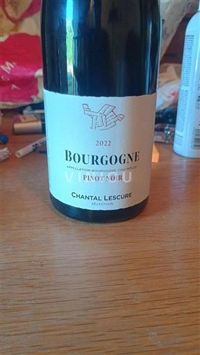 Burgundi Bourgogne Domaine Chantal Lescure Sélection 2022