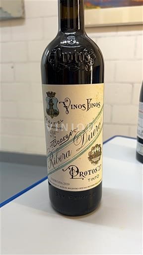 Castilia și León Ribera del Duero Protos Protos '27 2020