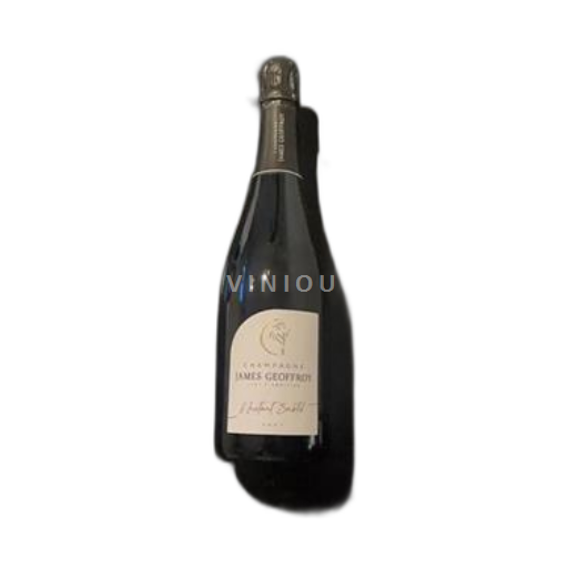Šampanja Šampanjec James Geoffroy l'Instant Subtil Neleten.