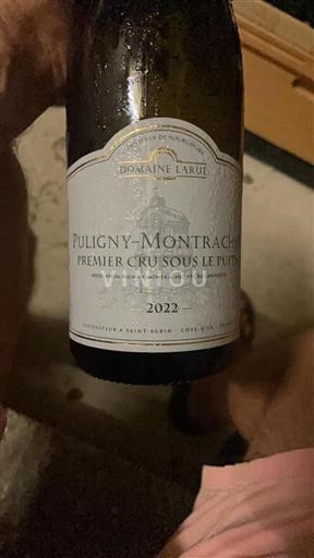 Bourgondië Puligny-Montrachet Premier Cru Domaine Larue Premier Cru Sous le Puits 2022