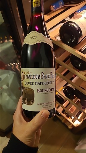 Bourgogne Dufouleur Père & Fils Napoléon 1er 2023