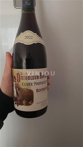 Bourgogne Dufouleur Père & Fils Napoléon 2022