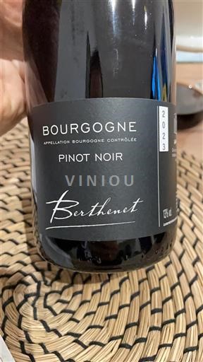 Borgoña Domaine Berthenet 2023