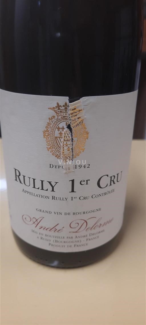 Bourgogne Rully Premier Cru André Delorme 2021