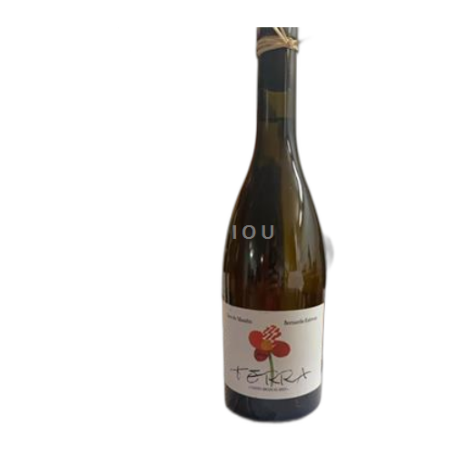 Galicia Monterrei Xico Mandin y Bernardo Estevez Terra 2023