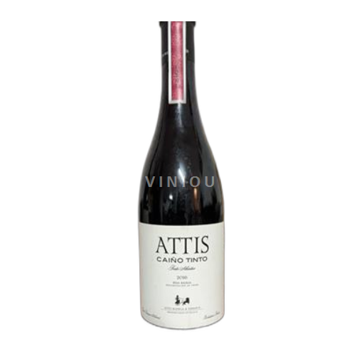 Galicia Rías Baixas Attis Bodega & Viñedos Caíño Tinto 2016