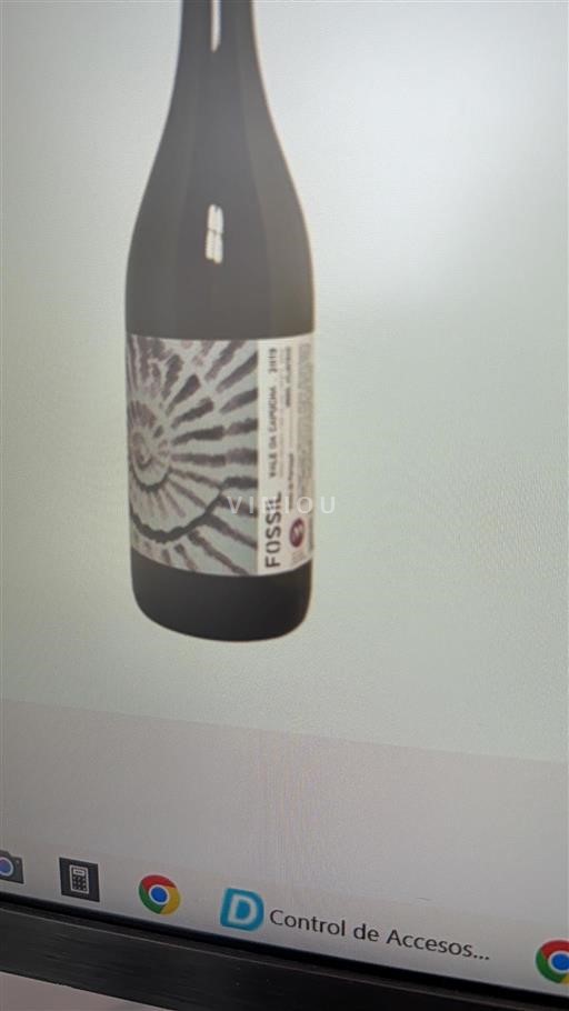 Bồ Đào Nha Torres Vedras Vale da Capucha Fossil 2021