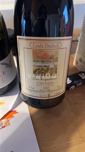 Valle del Loira Chinon Couly-Dutheil Les Suppenieres 2022