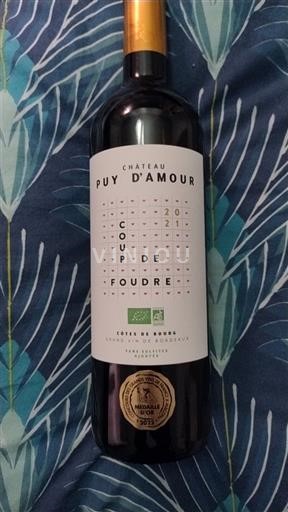 Bordeaux Côtes-de-bourg Château Puy d'Amour Coup de Foudre 2021
