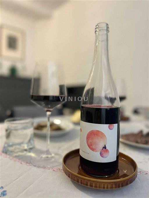 Langvedok Languedoc Château Caraguilhes Noctambule 2023