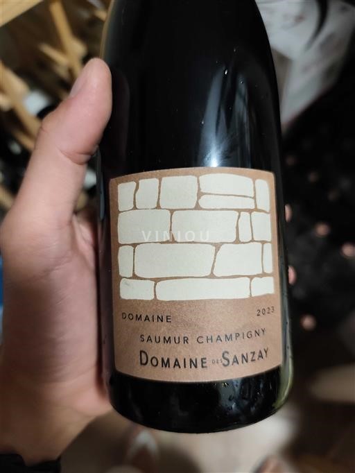 Loire-dalen Saumur-Champigny Domaine Des Sanzay Saumur-Champigny 2023