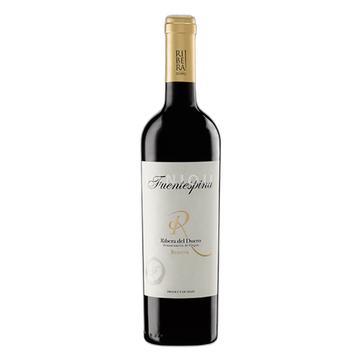 Castilien og León Ribera del Duero Bodegas Fuentespina Fuentespina Reserva 2021