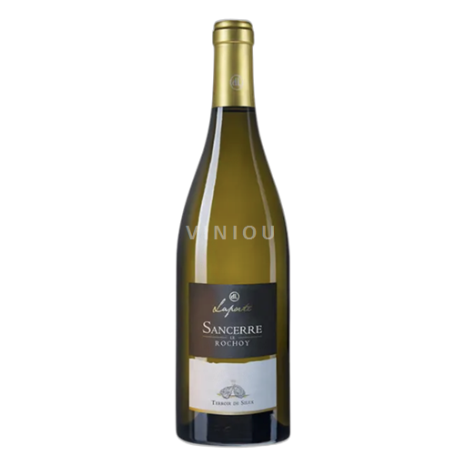 Údolí Loiry Sancerre Domaine Laporte Sancerre Le Rochoy Sauvignon blanc 2021