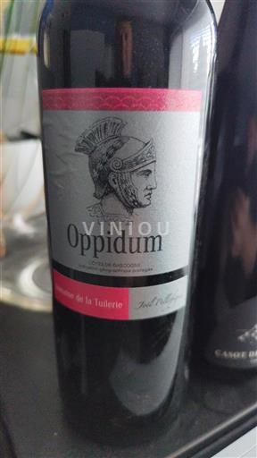 South West Côtes de Gascogne Domaine La Tuilerie Oppidum 2024