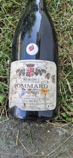 Burgundy Pommard Domaine Joël Remy Les Vignots 2011