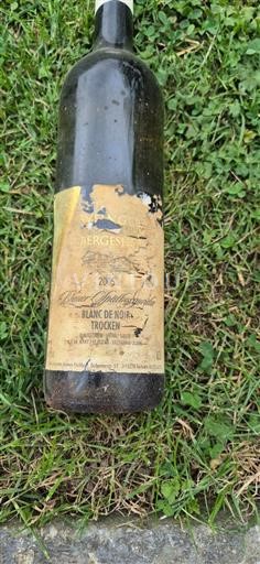 Nahe Không được chỉ định Weingut Bergeshof 2005