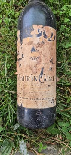 Bordeaux Mouton Cadet 1996