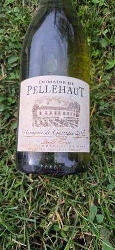 Jugozahod Côtes de Gascogne Domaine Pellehaut Harmonie de Gascogne 2012