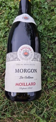 Beaujolais Morgon Moillard Les Collines 2022