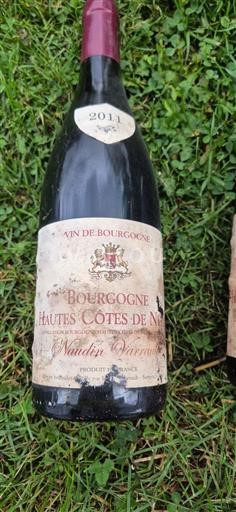 Bourgogne Hautes Côtes de nuits Naudin Varrault 2011