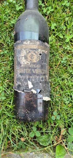 Bordeaux Saint-Émilion Grand Cru Grand Cru Château Trotte Vieille Senza annata