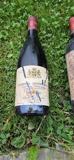 Burgundy Charmes-Chambertin Grand Cru Domaine Pierre Damoy Vieille Vigne 1990