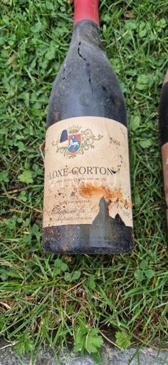 Burgundy Aloxe-Corton Domaine La Côte 1994