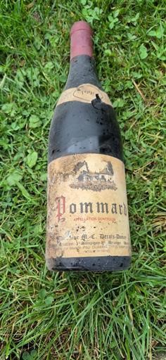 Borgoña Pommard Maison Paul DUMAS 1996