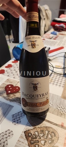 Rona dolina Vacqueyras Vidal-Fleury 2023