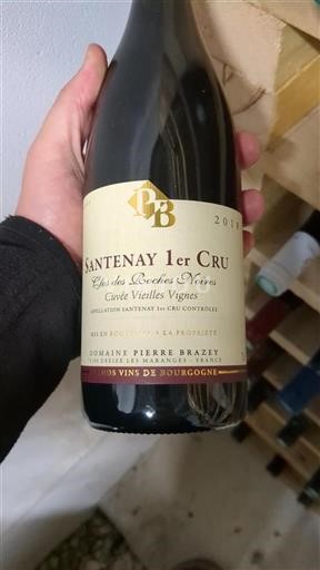 Burgundy Santenay Premier Cru Domaine Pierre Brzey Vielles Vignes 2018
