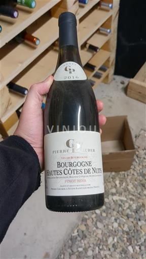 Bourgogne Hautes Côtes de nuits Pierre Gruber 2016