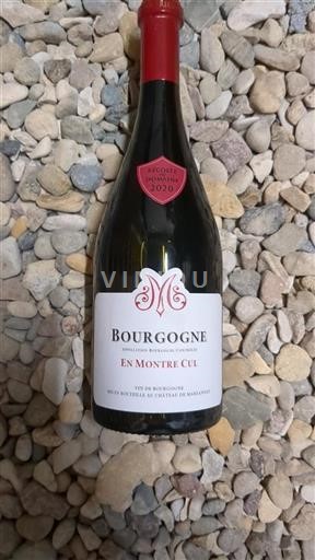 Bourgogne Château Marsannay En Montre Cul 2020