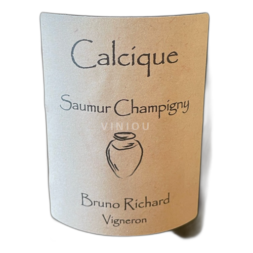 Loire-dalen Saumur-Champigny Domaine Les Murailles Neuves Calcique 2020