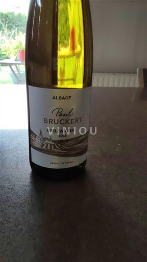 Elsass Paul Bruckert Edelzwicker 2024