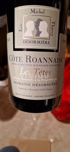 Lugina e Luarës Côte-roannaise Domaine Desormière Les Têtes 2023