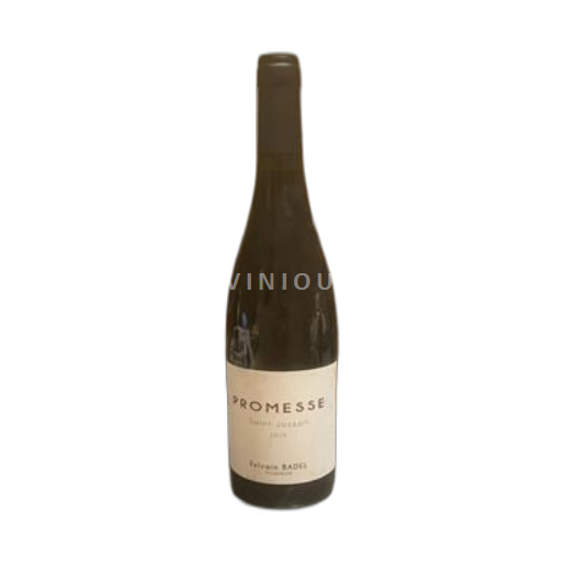 Vallée du Rhône Saint-Joseph Sylvain Badel Promesse 2019