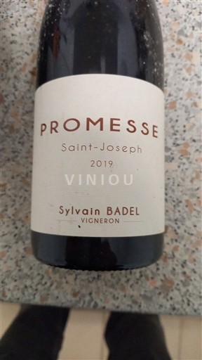 Rhône Valley Saint-Joseph Sylvain Badel Promesse 2019