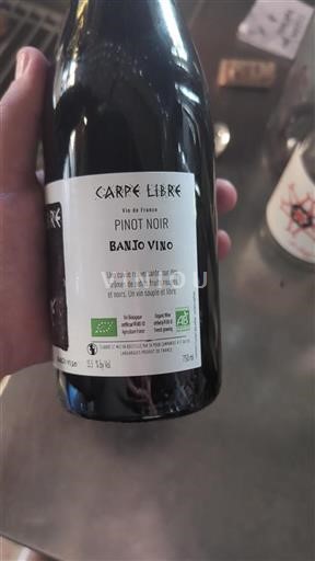 Languedoc Ospecificerad Banjo Vino Carpe Libre Icke årgångsbetecknad