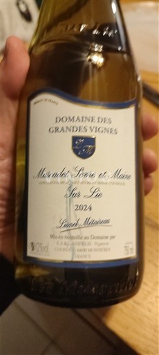 Loiredalen Muscadet-Sèvre-et-Maine Domaine Des Grandes Vignes Sur Lie 2024