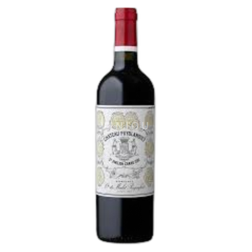 Bordeaux Saint-Émilion Grand Cru Château Puyblanquet 2021