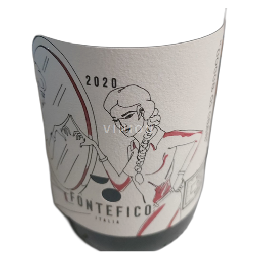 Abruzzo Wines Montepulciano d'Abruzzo Fontefico Cocca di Casa 2020