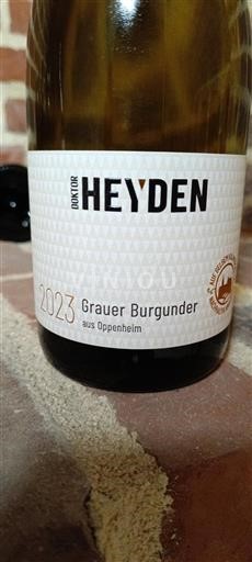 Rheinhessen Không được chỉ định Doktor Heyden Grauer Burgunder 2023