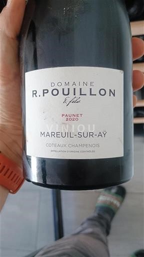 Šampanja Coteaux Champenois R. Pouillon Paunet 2020