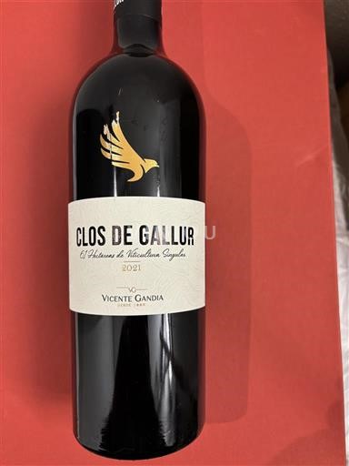 Valenciaregionen Valencia Vicente Gandia Clos de Gallur 2021